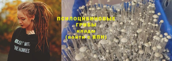 спиды Белокуриха