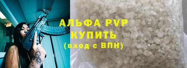 спиды Белокуриха